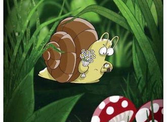 
                                                            syria contest 2019 48 copy