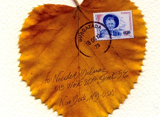 
                                                            necdet yilmaz turkey 164