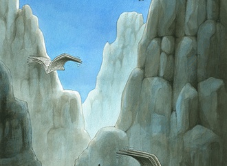 
                                                            eray ozbek turkey 55