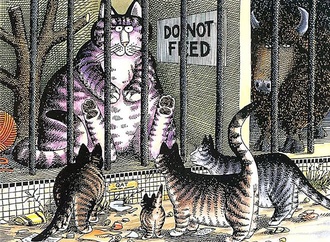 
                                                            bernard kliban 13