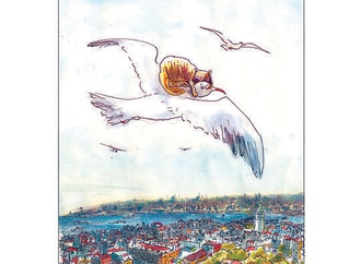 
                                                            turgay karadag turkey 2