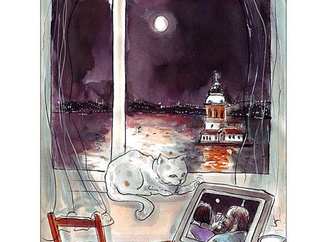 
                                                            turgay karadag turkey 71