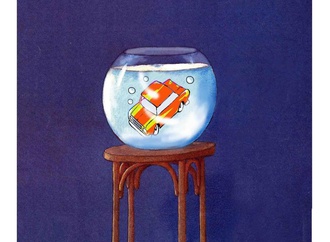 
                                                            hossein rahimkhani 4