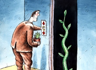 
                                                            temur kozaev russia 13