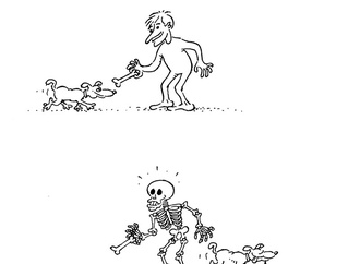 
                                                            cemal arig turkey 29