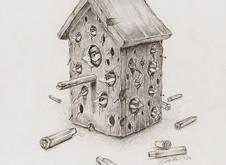 
                                                            cenk alparslan turkey