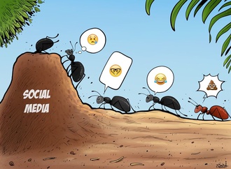 شبکه های اجتماعی، Social Networks