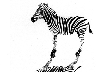 
                                                            skawomir luczynski poland