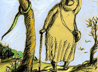 
                                                            daniel maja france 13