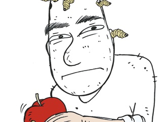 
                                                            roberto netto brazil 13