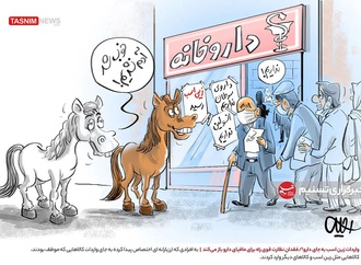 انسانیت، Humanity