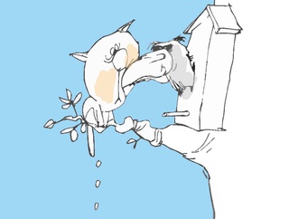 
                                                            andrey klimov russia 45