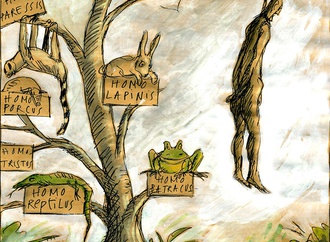 
                                                            daniel maja france 44