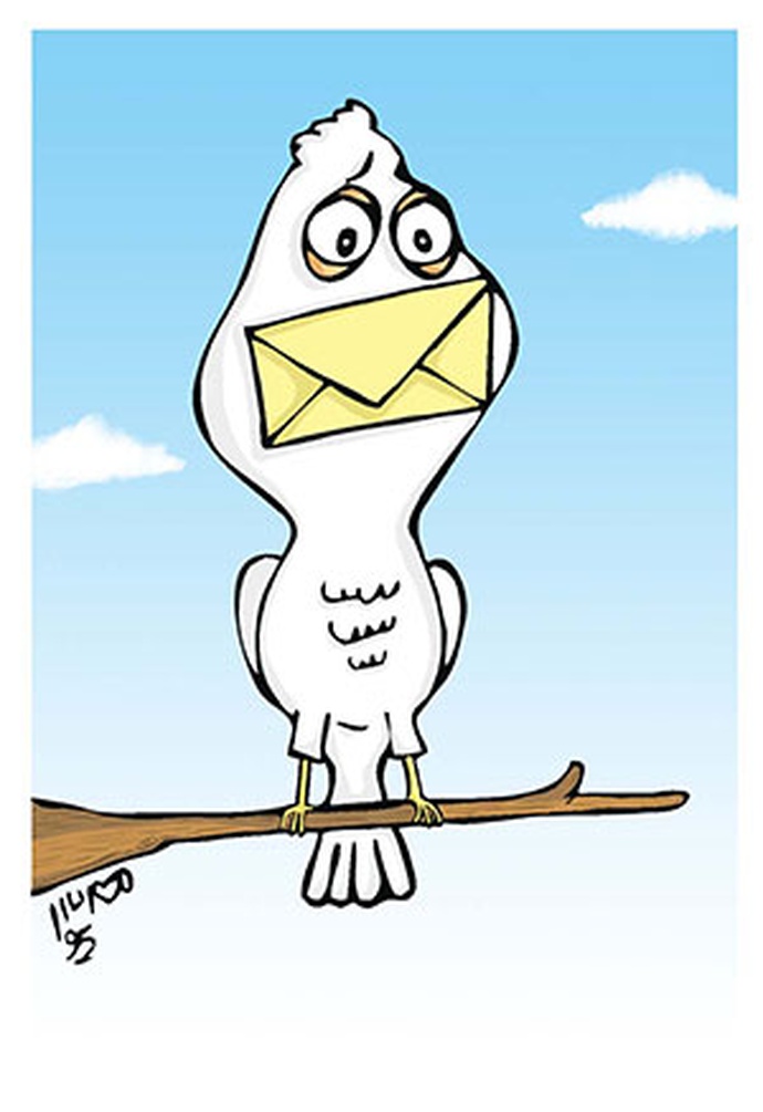 By: داریوش مهردلان