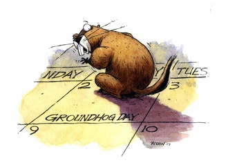 
                                                            kevin rechin usa 121