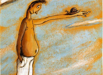 
                                                            daniel maja france 6