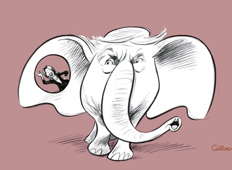 
                                                            quinho ravelli brazil5