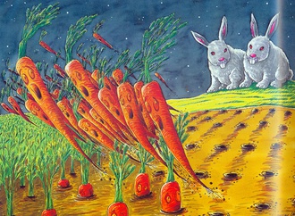 
                                                            mehmet kahraman turkey