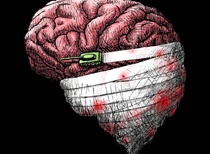 ( ۲۱ خرداد ۱۴۰۳) بهترین آثار کارتون جهان