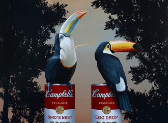 
                                                            robert deyber usa 31