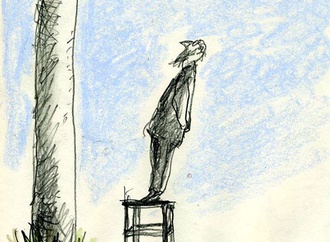 
                                                            daniel maja france 7