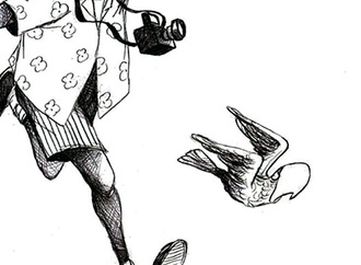 
                                                            silvano mello brazil 58