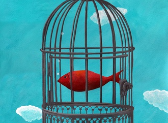 
                                                            shirin gholipour