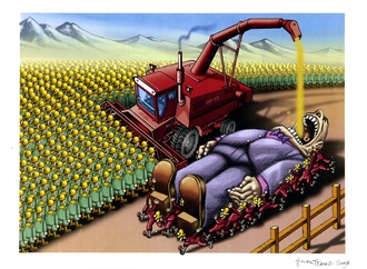 
                                                            sevket yalaz turkey 163