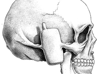 
                                                            paolo dalponte italy 129