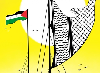 کشتی مدلین