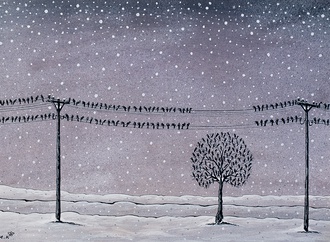 
                                                            mehmet kahraman turkey