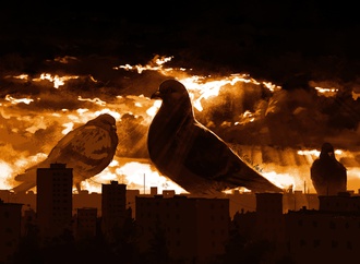 
                                                            boris groh ukraine 2