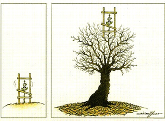 
                                                            atila ozer turkey 30