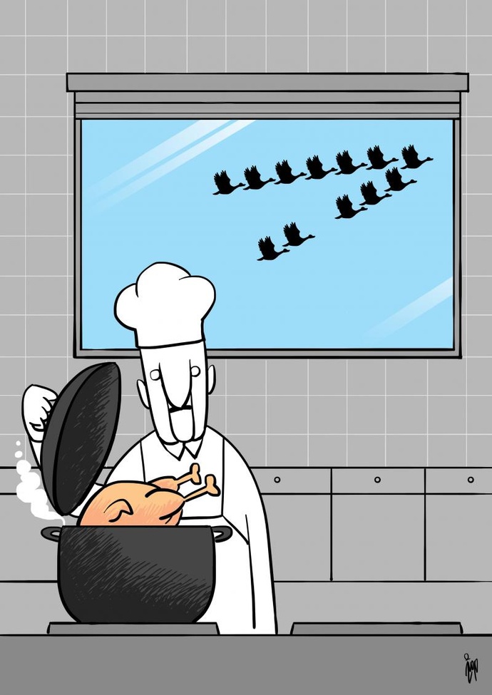 By: حمیدرضا مسیبی