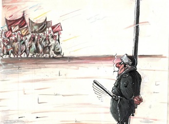 
                                                            ali sur turkey 8