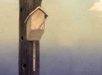 
                                                            andrei popov russia 3