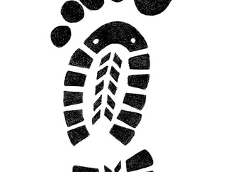 
                                                            mohsen nouri najafi 1