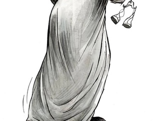
                                                            angel boligrn20