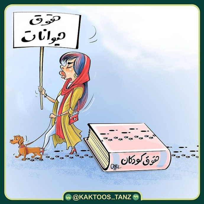 By: محمدعلی رجبی