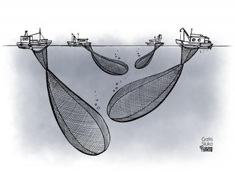 
                                                            gatis sluka 35