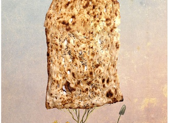 






                                                            مهدیه صباغ کار - ایران