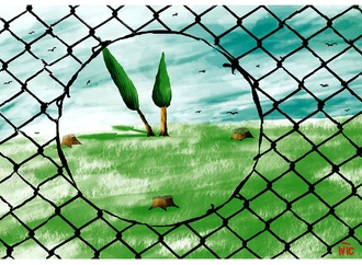 
                                                            marko ivic croatia 44