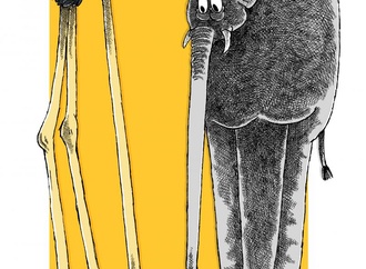 
                                                            emre yilmaz 1