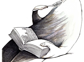 
                                                            angel boligan mexico 1