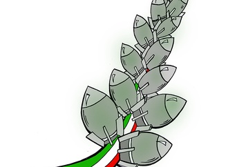 
                                                            ali faridradpour 17