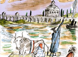 
                                                            daniel maja france 43