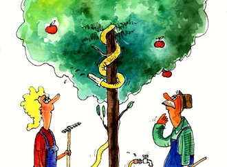 
                                                            tomasz woloszyn from poland 26