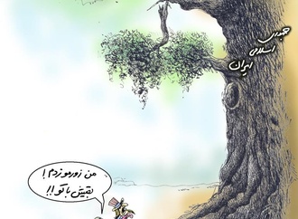 
                                                            seyedmohammad salem 2