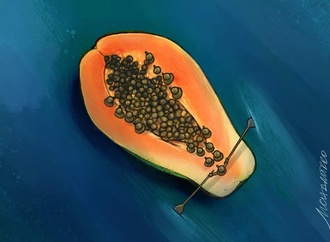 
                                                            marcelo chamorro 3
