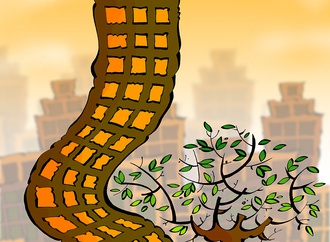 
                                                            alireza karimi moghadam 2